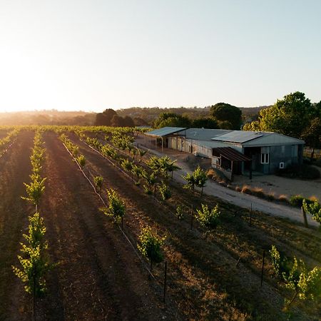 Bed In A Shed Vineyard Stay Watervale Exterior photo